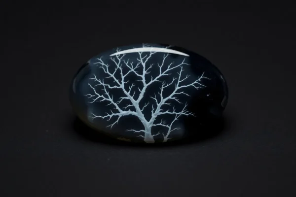 Dendritic Agate – Meaning, Properties, Identification, and Care